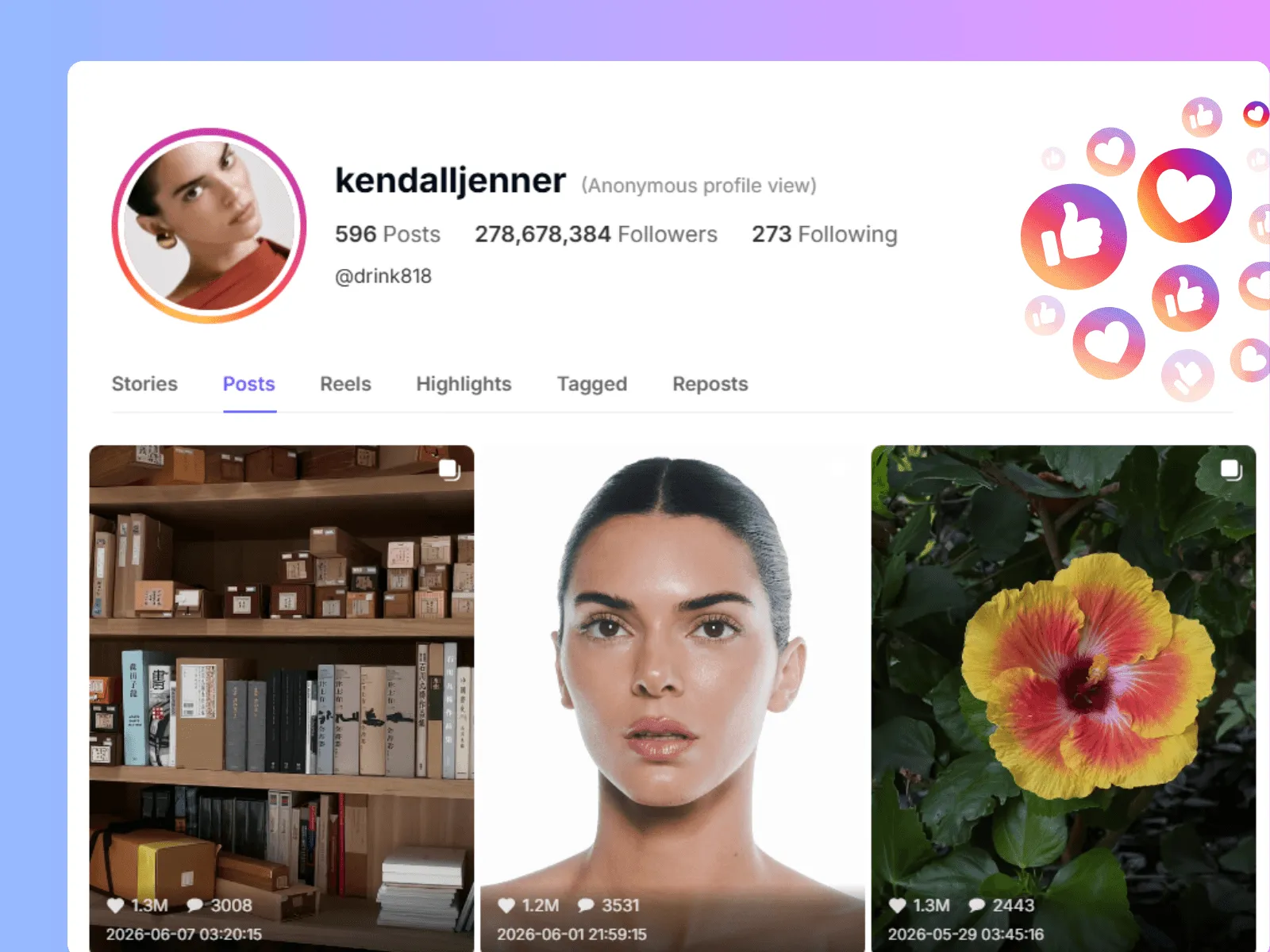 Anonymous Instagram Profile Viewer by EasyComment