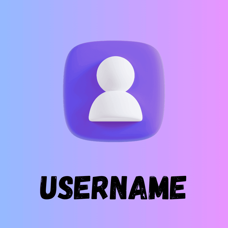 Enter Instagram Username