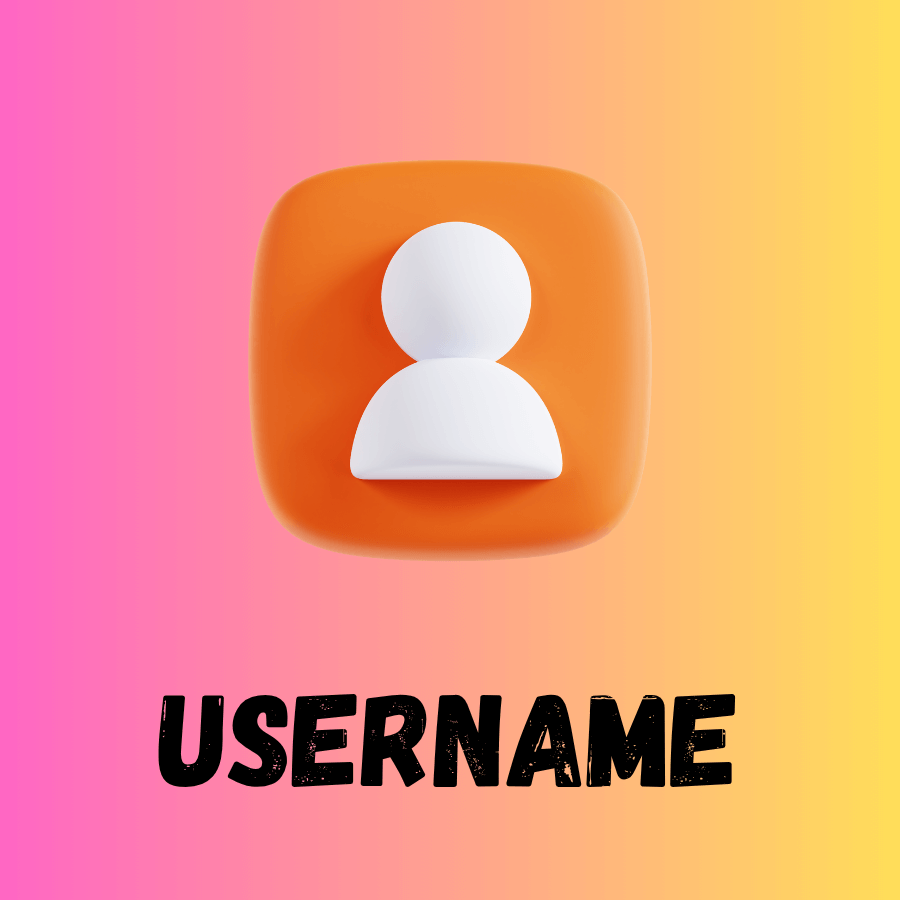 Step 1: Enter Instagram Username