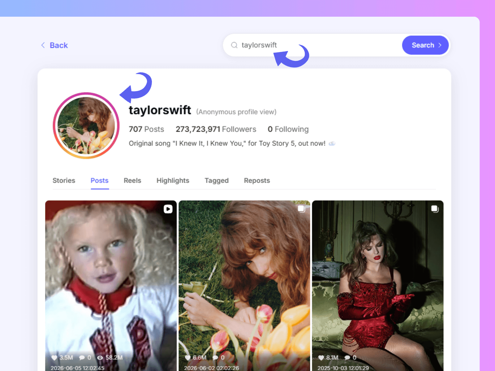 How to use Instagram Viewer