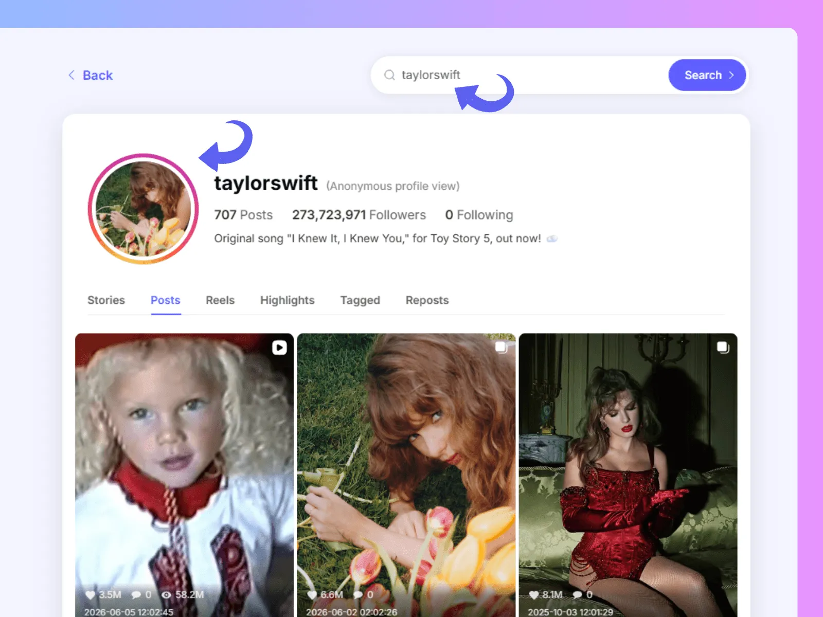 How to use Instagram Viewer